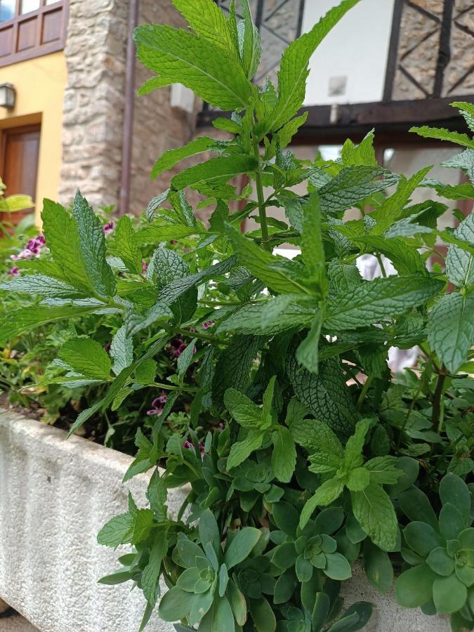 Romantico Acogedor Apartamento En Llanes Zewnętrze zdjęcie