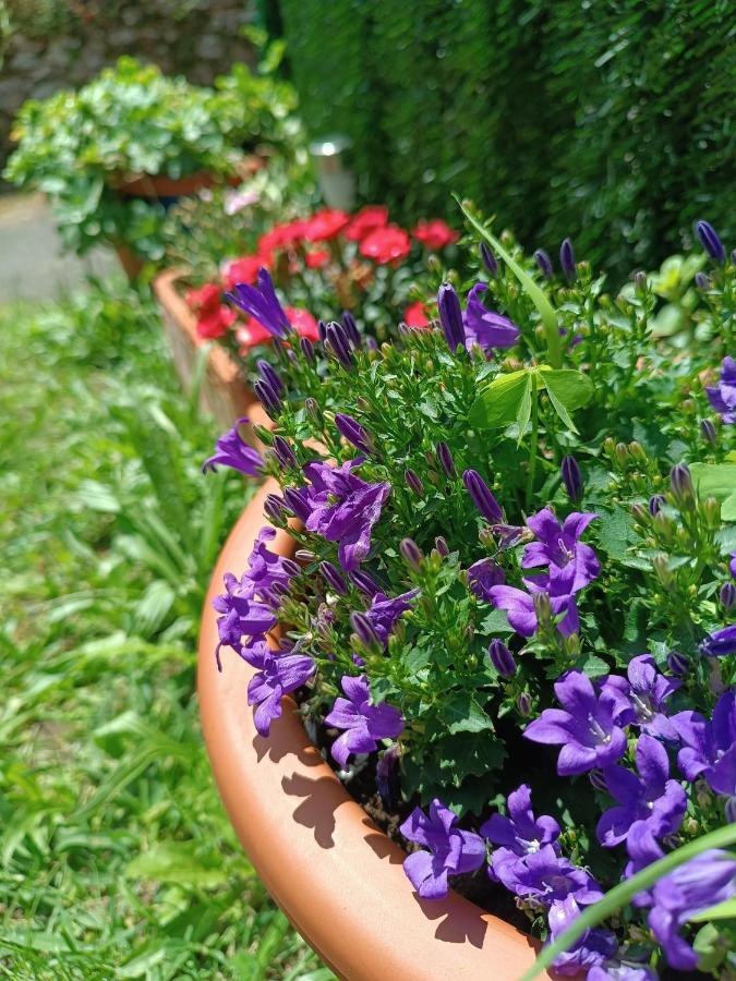 Romantico Acogedor Apartamento En Llanes Zewnętrze zdjęcie