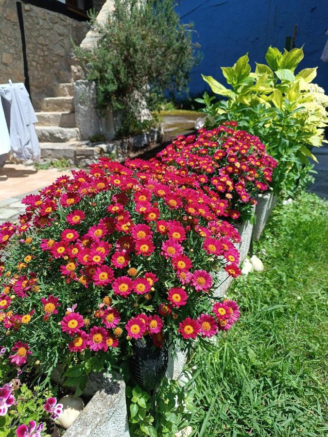 Romantico Acogedor Apartamento En Llanes Zewnętrze zdjęcie